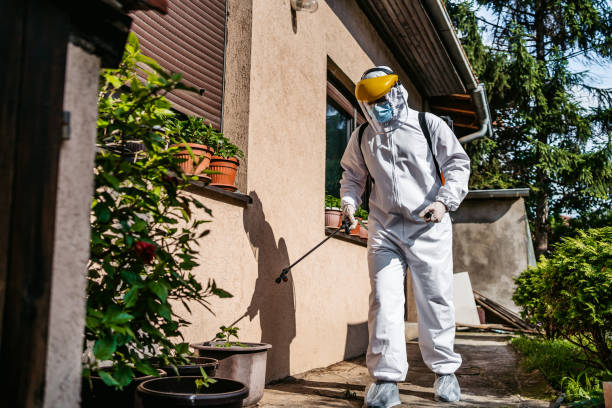 Trusted Willis, TX Pest Control Experts