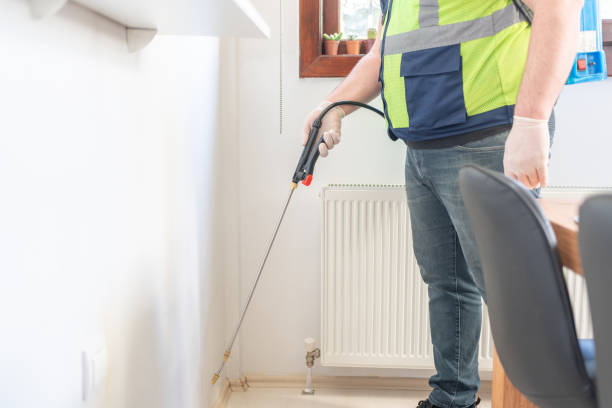 Best Local Pest Control Services  in Willis, TX