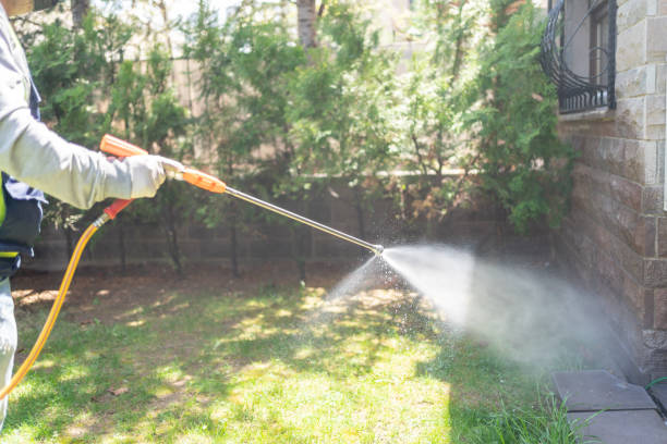 Best Emergency Pest Control  in Willis, TX