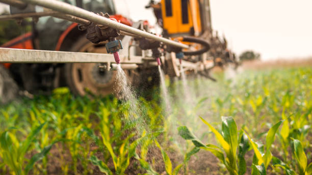 Best Best Pest Control Companies  in Willis, TX